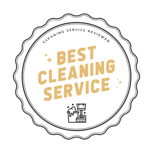Best Cleaning Logo